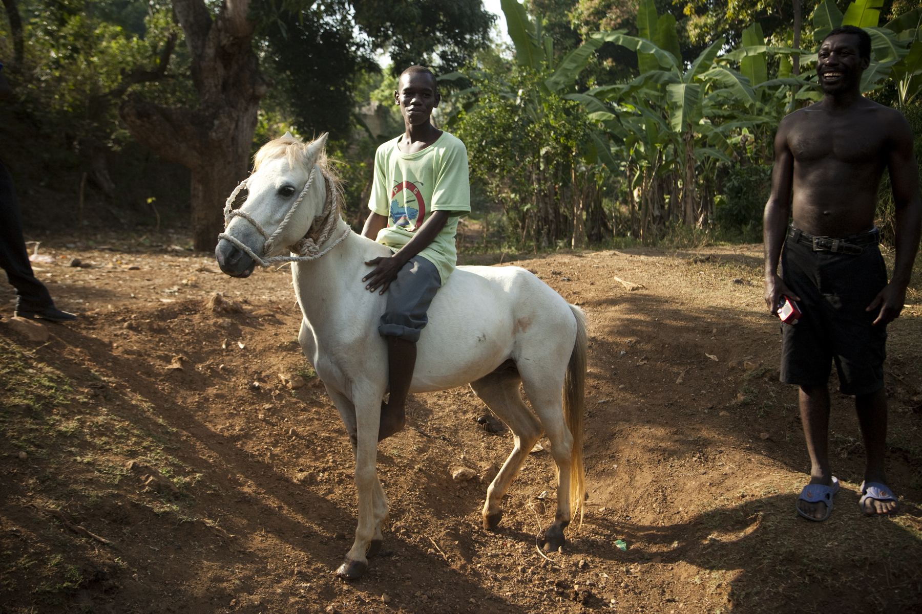 A rider on a white horse on a dirt road